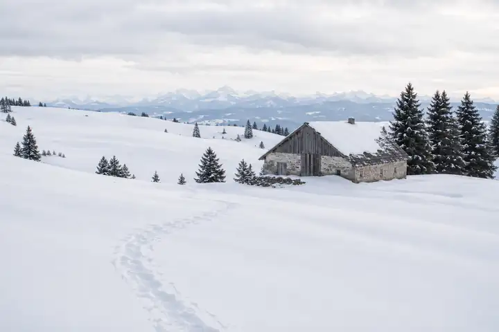 Plateau enneigé aux reliefs doux